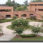 主校区 Courtyard; a circular walkway with a tree in the center surrounded by buildings.